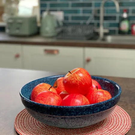 Willow Tree House 펜션