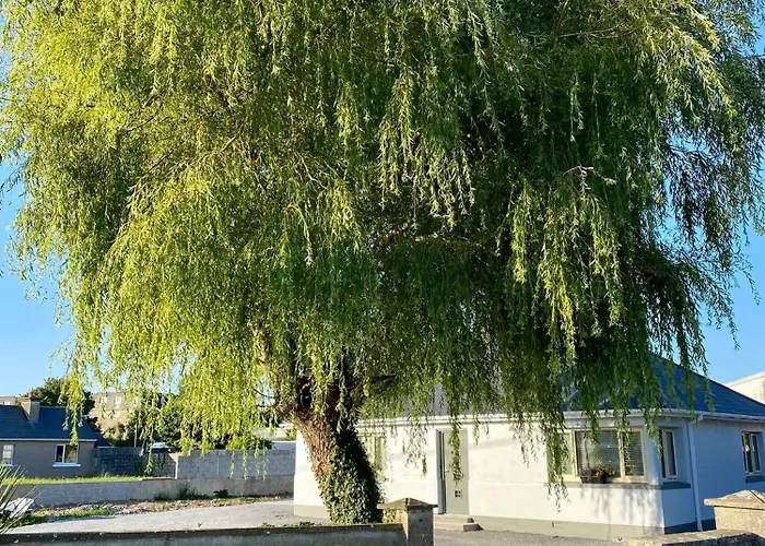 Casa de Férias Willow Tree House